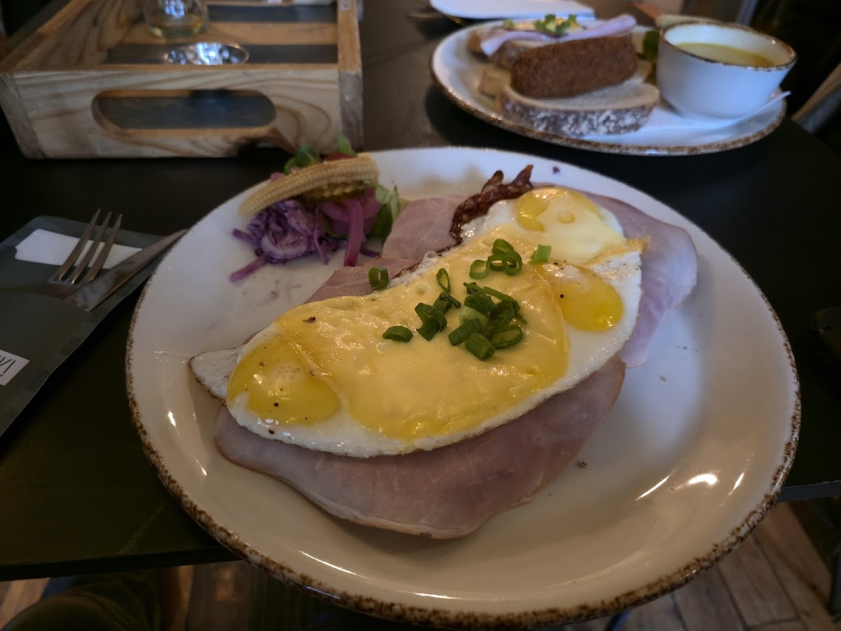 Brownies & Downies Photos 2